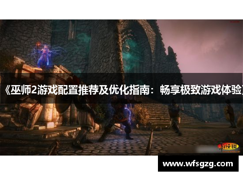 《巫师2游戏配置推荐及优化指南：畅享极致游戏体验》