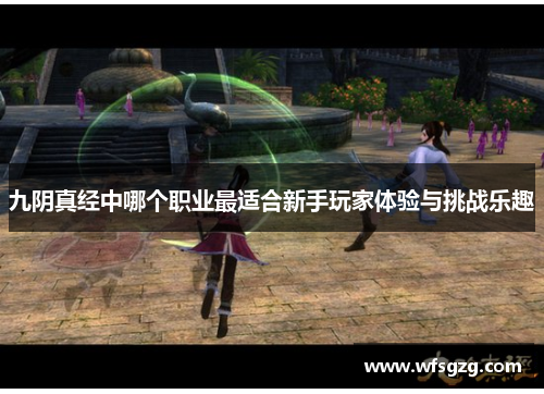 九阴真经中哪个职业最适合新手玩家体验与挑战乐趣